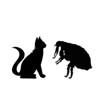 Vector silhouette of flea and cat on a white background. Symbol of parasites. Stock-Illustration
