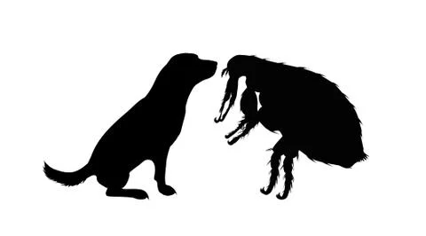 Vector silhouette of flea and dog on a white background. Symbol of parasites. Stock Illustration