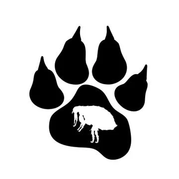 Vector silhouette of flea and dog pawn on a white background. Symbol of paras Stock Illustration