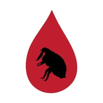 Vector silhouette of flea inside drop of blood on white background. Symbol of イラスト素材
