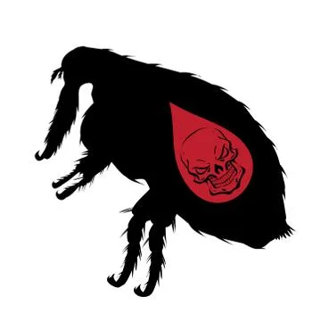 Vector silhouette of flea with skull on white background. Symbol of stop dise イラスト素材