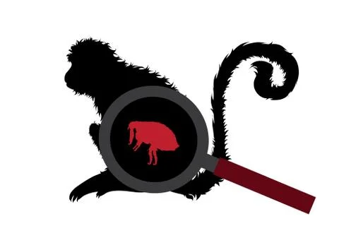 Vector silhouette of flea under magnifying glass sitting on monkey on white b Stock Illustration