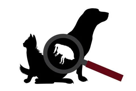 Vector silhouette of flea under magnifying glass sitting on dog and cat on wh Illustrazione stock