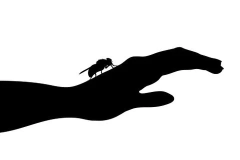 Vector silhouette of fly sitting on human hand on white background. Symbol of Stock-Illustration