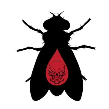 Vector silhouette of fly with skull on white background. Symbol of stop tsets Stock-Illustration