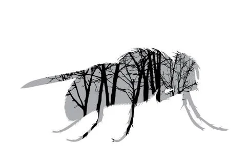 Vector silhouette of fly with trees on background. Symbol of insect. Stock Illustration