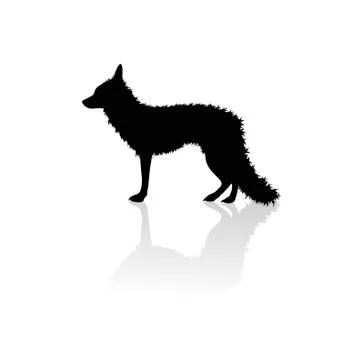 Vector silhouette of fox on white background.Symbol of animal and nature. Stock Illustration