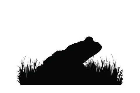 Vector silhouette of frog in the grass on white background. Symbol of animal, Stock Illustration