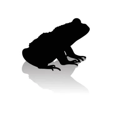 Vector silhouette of frog on white background.Symbol of animal and nature. Stock Illustration