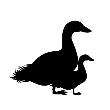 Vector silhouette of goose on white background. Symbol of farm, breeding, goo Stock Illustration