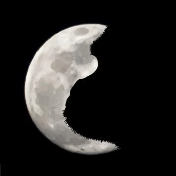 Vector silhouette of gorilla on moon background. Symbol of night. Stock Illustration