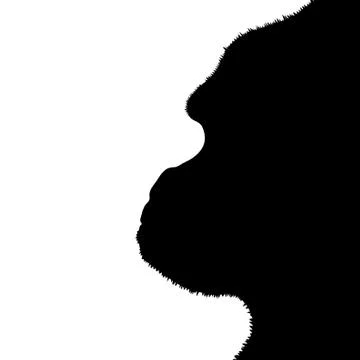 Vector silhouette of gorilla on white background. Stock Illustration