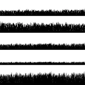 Vector silhouette of grass. 스톡 일러스트