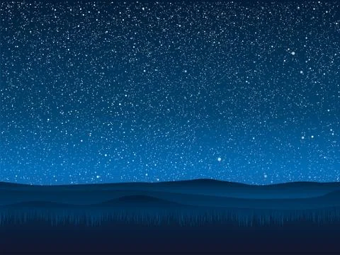 Vector. Silhouette grass. Starry Sky. Eps 10. Stock Illustration
