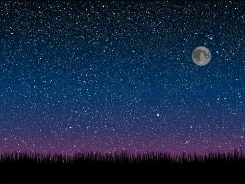 Vector. Silhouette grass. Starry Sky. Eps 10. Stock Illustration