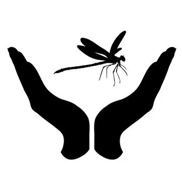 Vector silhouette of a hand in a defensive gesture protecting a dragonfly. Sy Stock Illustration