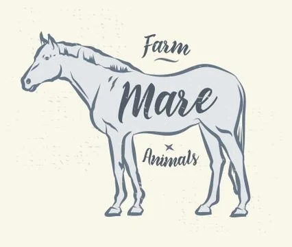 Vector silhouette of a horse. Vector stock type illustration. Stock Illustration