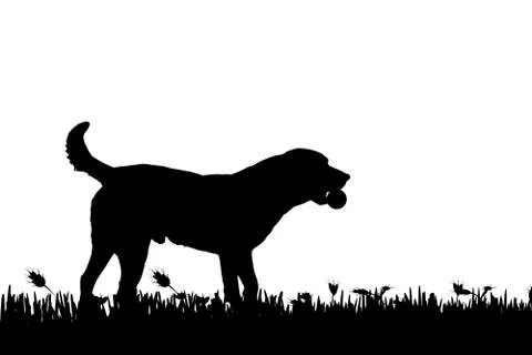 Vector silhouette. Stock Illustration