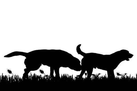 Vector silhouette. Stock Illustration