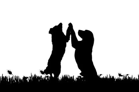 Vector silhouette. Stock Illustration