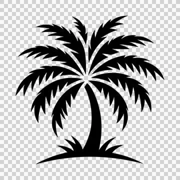 A vector silhouette image of a palm tree icon Stock Illustration