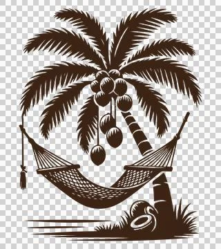 A vector silhouette image of a palm tree 스톡 일러스트