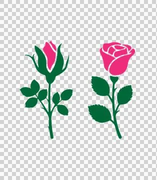 A vector silhouette image of pink rose flower Icons Set with a white backgro 스톡 일러스트