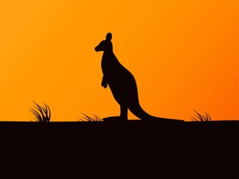 Vector silhouette kangaroo on background sunset Stock Illustration