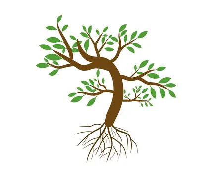 A  Vector silhouette of a life tree with roots and green leaves 스톡 일러스트