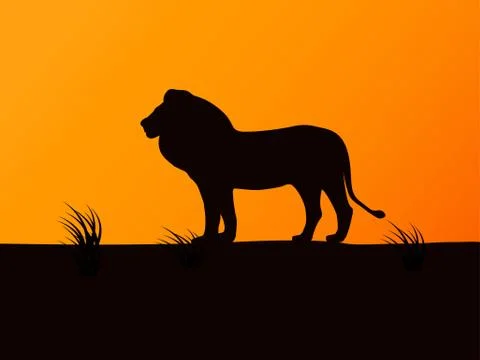Vector silhouette lion on the background of sunset Stock Illustration