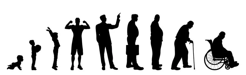 Vector silhouette of man in different age on white background. Symbol of gene Stock Illustration