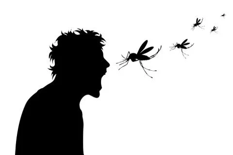 Vector silhouette of man who crying to mosquito on white background. Symbol o Stock-Illustration