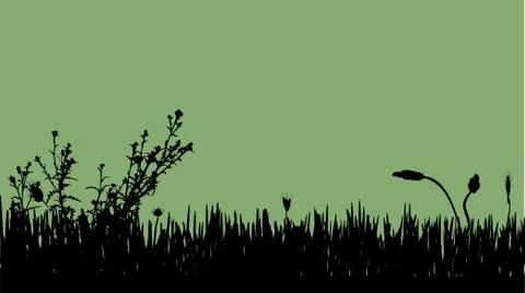 Vector silhouette of meadow. Stock Illustration