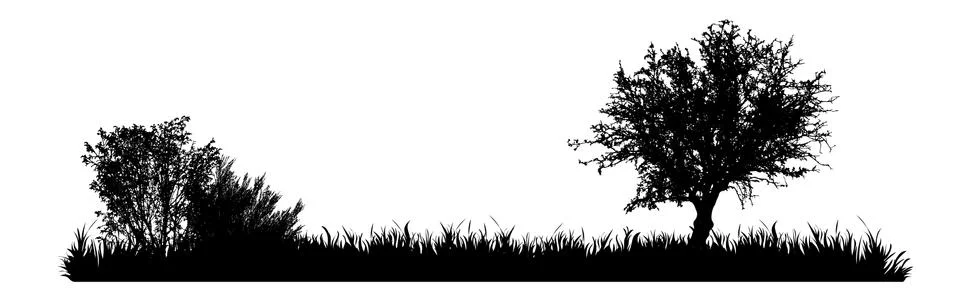 Vector silhouette of meadow with tree on white background. Symbol of nature w Stock Illustration