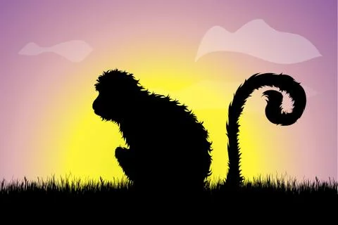 Vector silhouette of monkey sitting in the grass at sunset. Symbol of nature. Stock Illustration
