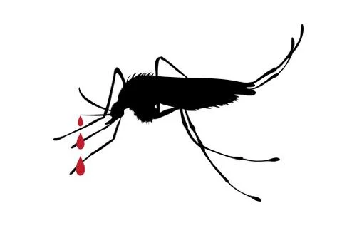 Vector silhouette of mosquito on white background. Symbol of insect, danger,  イラスト素材