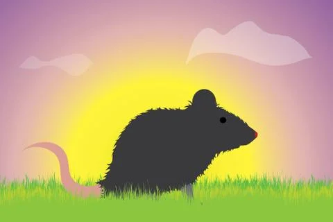 Vector silhouette of mouse in the grass at sunset. Symbol of animal. Stock Illustration