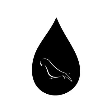 Vector silhouette of the parrot in the drop on white background. 库存插图