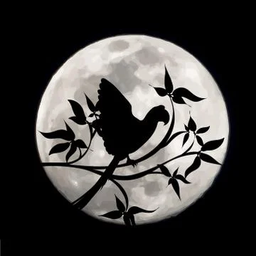 Vector silhouette of parrot on moon background. Symbol of night. イラスト素材