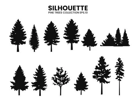 Vector Silhouette Pine Trees  Nature and Environment Illustration Stock Illustration
