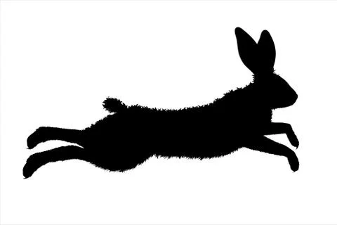 Vector silhouette of rabbit on white background. Symbol of forest animal and  Stock Illustration