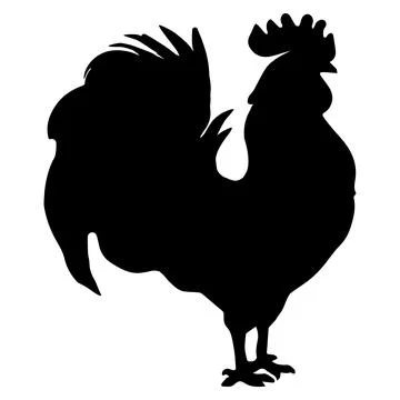 Vector silhouette of a rooster. Rural bird. Symbol monochromatic Stock Illustration