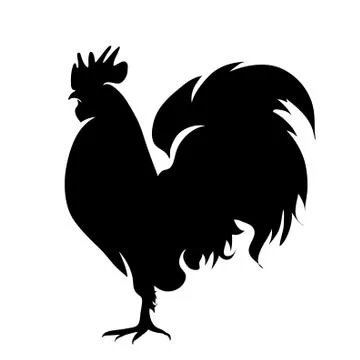 Vector silhouette of rooster on white background. Stock Illustration