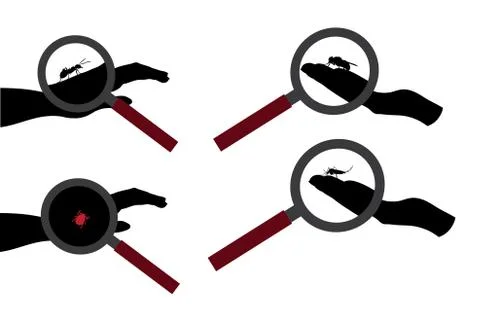 Vector silhouette of set of insect sitting in human palm under magnifying gla Stock Illustration
