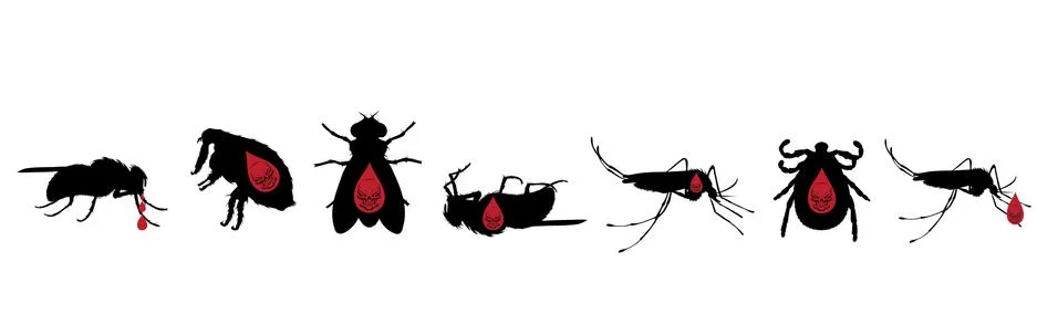 Vector silhouette of set of insect with skull on white background. Symbol of  Stock Illustration