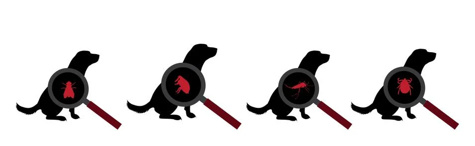 Vector silhouette of set of insect under magnifying glass sitting on dog on w Stock Illustration