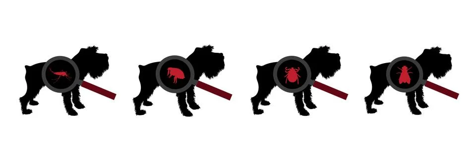 Vector silhouette of set of insect under magnifying glass sitting on dog on w Illustration
