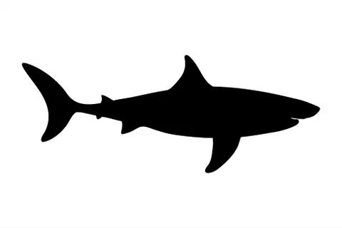 Vector silhouette of shark on white background. Symbol of ocean animal. Stock Illustration