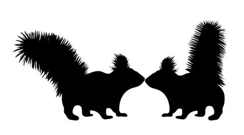 Vector silhouette of squirrel on white background. Stock Illustration