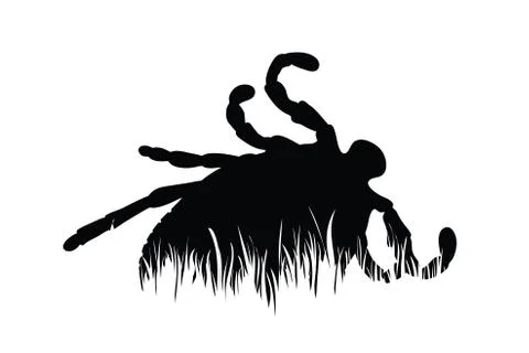 Vector silhouette of tick in the grass on white background. Symbol of animal, 스톡 일러스트